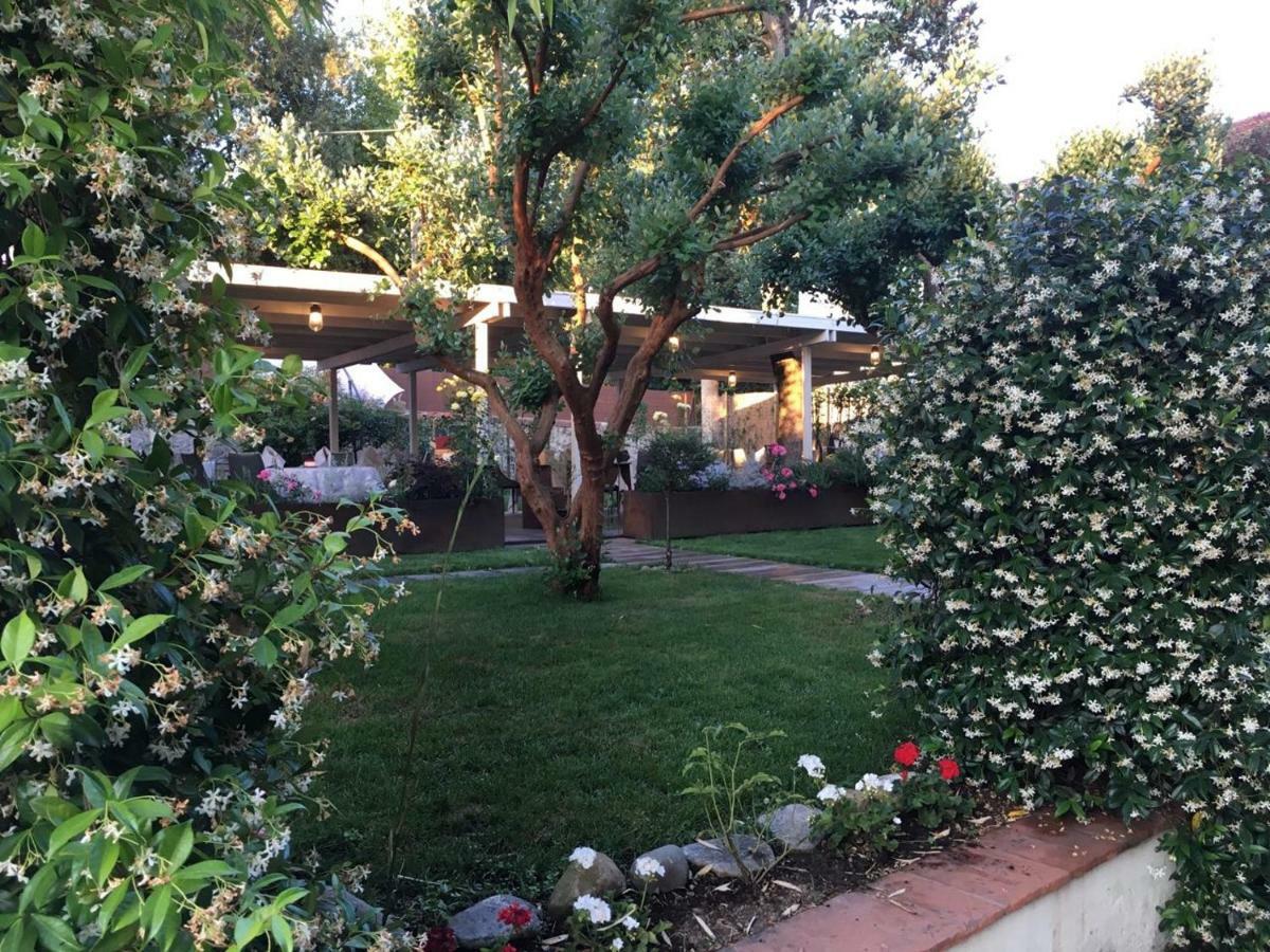 Locanda Del Pesce Briaco, B&B Lucca Bagian luar foto