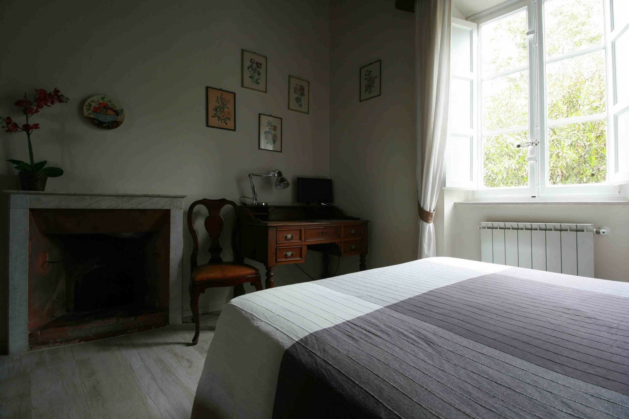 Locanda Del Pesce Briaco, B&B Lucca Bagian luar foto